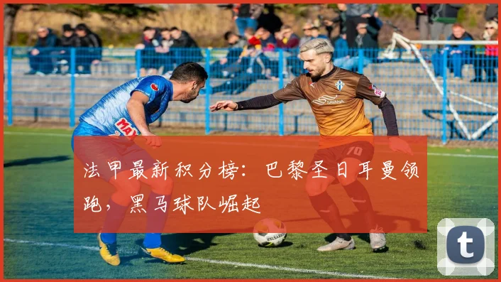 法甲最新积分榜:巴黎圣日耳曼领跑,黑马球队崛起