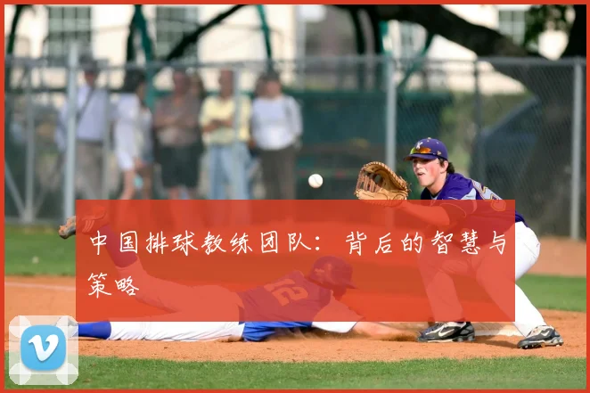 中国排球教练团队：背后的智慧与策略