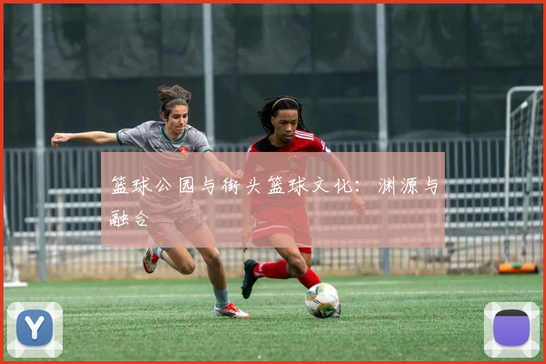 篮球公园与街头篮球文化：渊源与融合