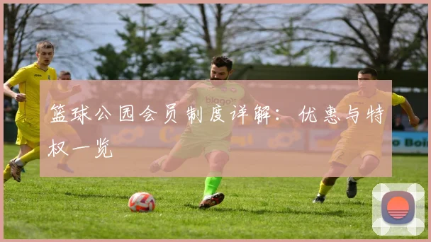 篮球公园会员制度详解:优惠与特权一览
