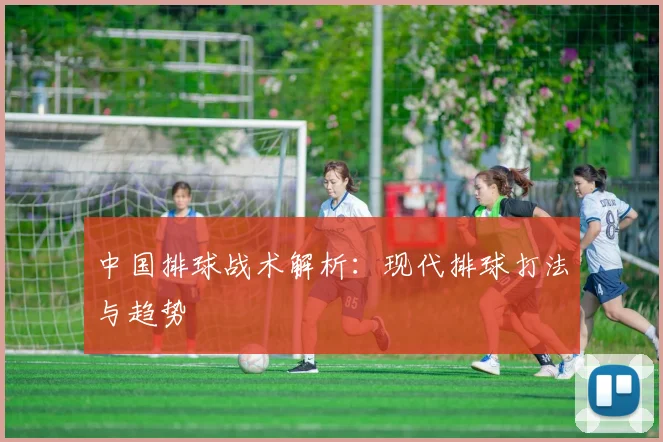 中国排球战术解析：现代排球打法与趋势