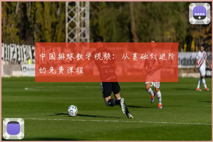 中国排球教学视频：从基础到进阶的免费课程