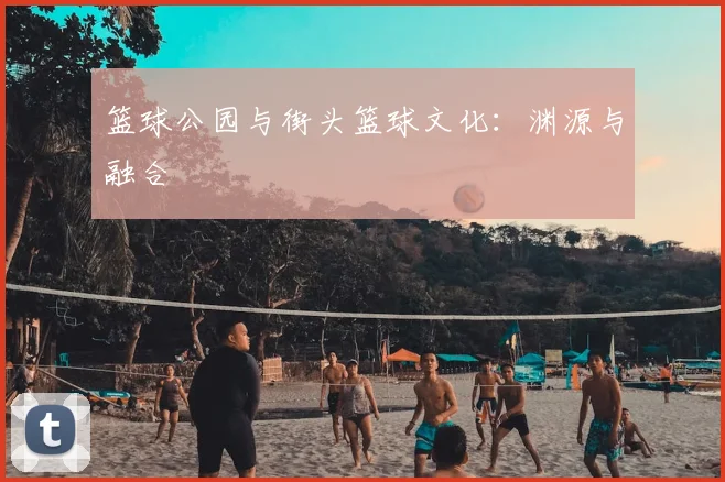 篮球公园与街头篮球文化：渊源与融合